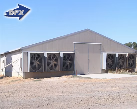Steel Structure Chicken Use Poultry House/Chickend Farm/ Broiler Chicken House