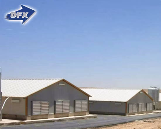 Steel Structure Chicken Use Poultry House/Chickend Farm/ Broiler Chicken House