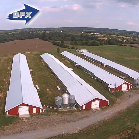 Steel Structure Chicken Use Poultry House/Chickend Farm/ Broiler Chicken House